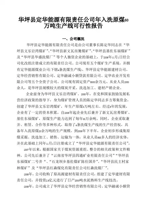公司年入洗原_煤60万吨生产线可行性报告改