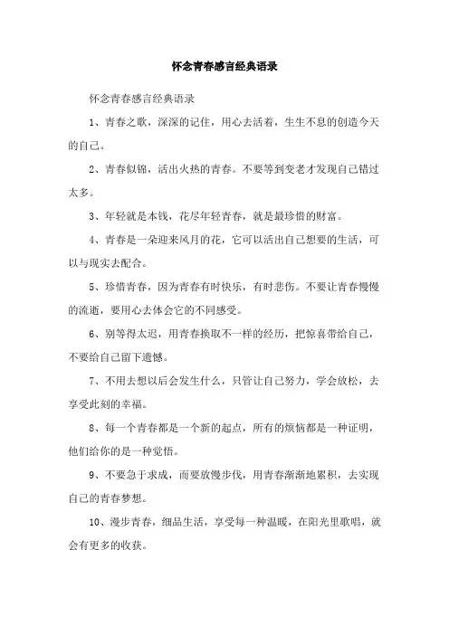 怀念青春感言经典语录