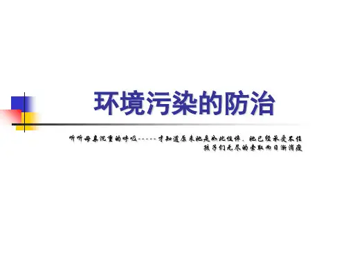 环境污染的防治培训教材(PPT 39页)