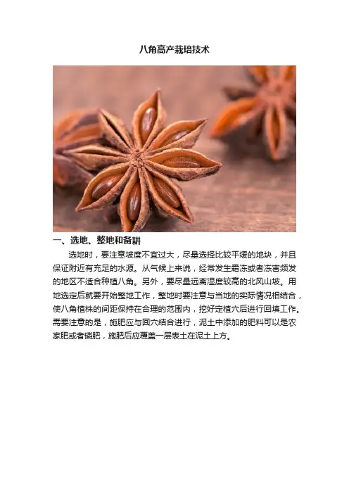 八角高产栽培技术