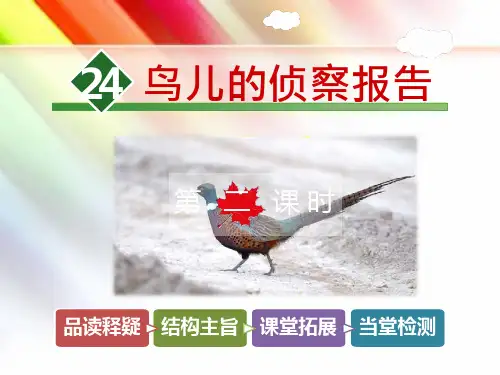 北师大版五年级语文上册《24.鸟儿的侦察报告【第2课时】》ppt课件