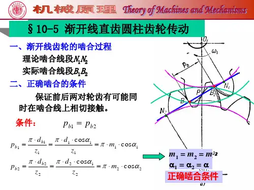 齿轮2