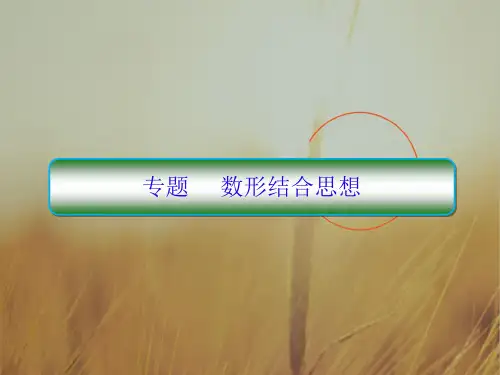 2018届高考数学文新课标二轮专题复习课件：第一部分 论方法 专题2 数形结合思想 精品