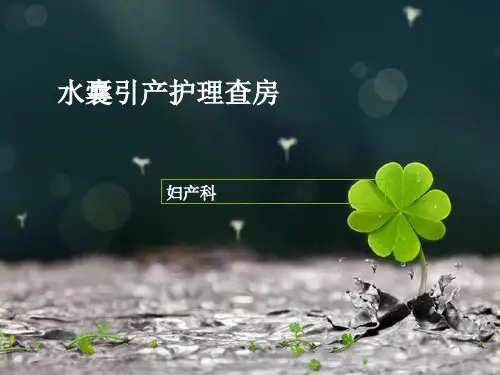水囊引产护理查房