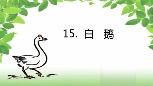 统编本小学语文四年级下册第四单元第十五课《白鹅》