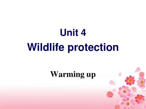 高一英语人教课标必修二 Unit4 Warming up