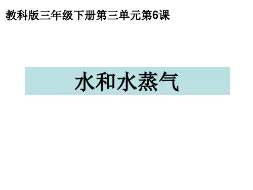 小学科学精品课件：三下三6水和水蒸气