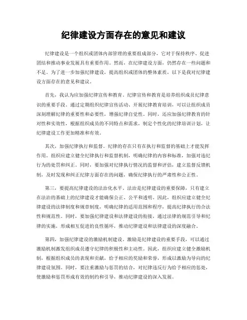 纪律建设方面存在的意见和建议