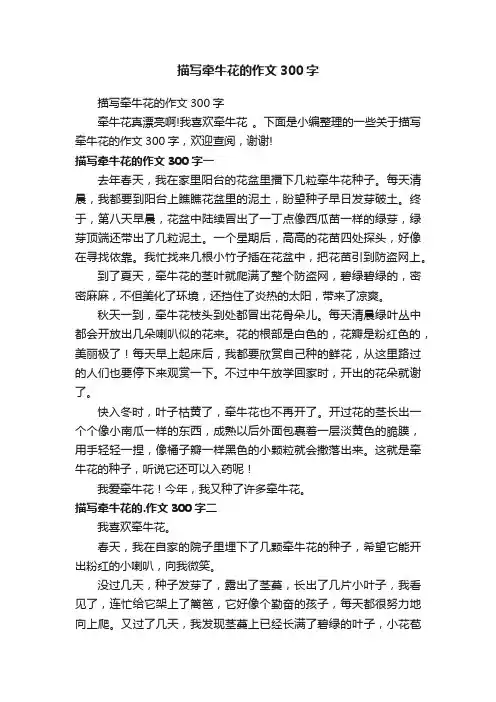 描写牵牛花的作文300字
