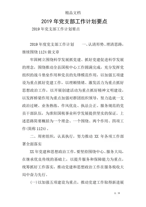 2019年党支部工作计划要点