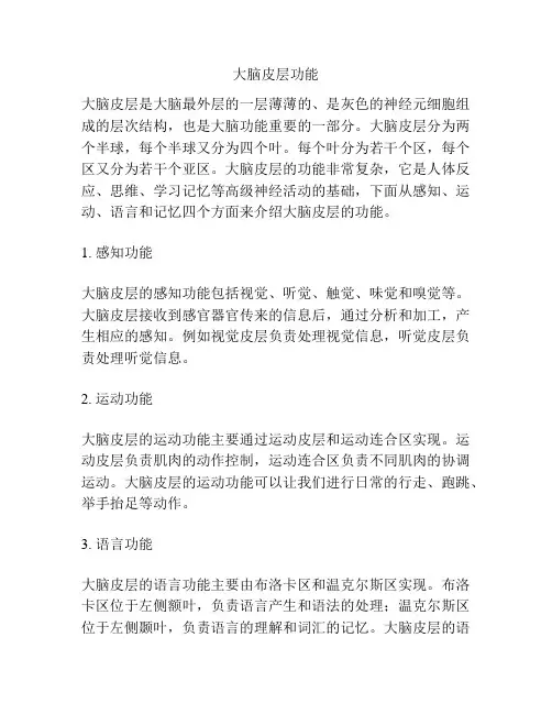 大脑皮层功能