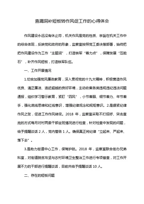 查漏洞补短板转作风促工作的心得体会