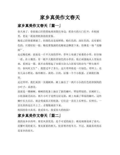 家乡真美作文春天
