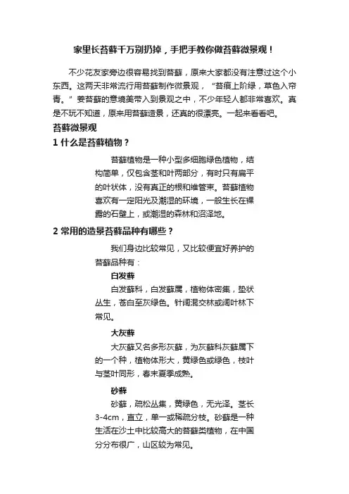 家里长苔藓千万别扔掉，手把手教你做苔藓微景观！
