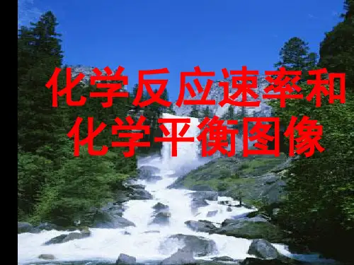 化学反应速率和化学平衡图像详细解题技巧