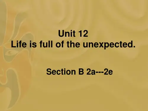 Unit 12 Life is full of unexpected.Section B 2a-2e