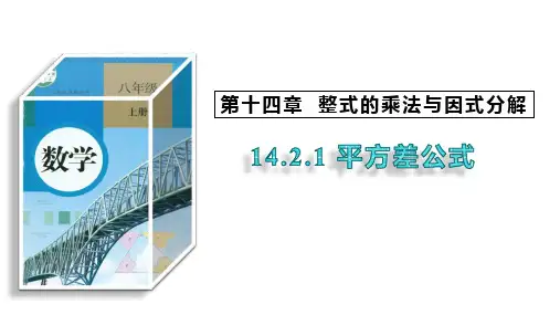 14.2.1 平方差公式 课件  2023-2024学年初中数学人教版八年级上册