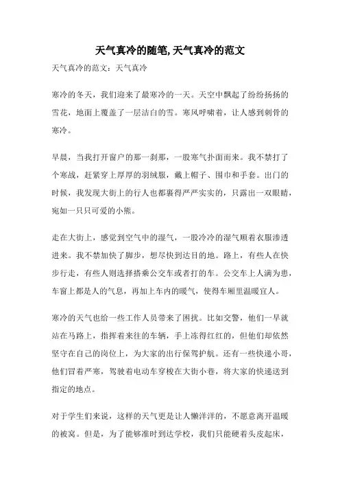 天气真冷的随笔,天气真冷的范文