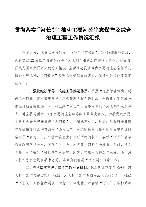 10-贯彻落实“河长制”推动主要河流生态保护及综合治理工程工作情况汇报