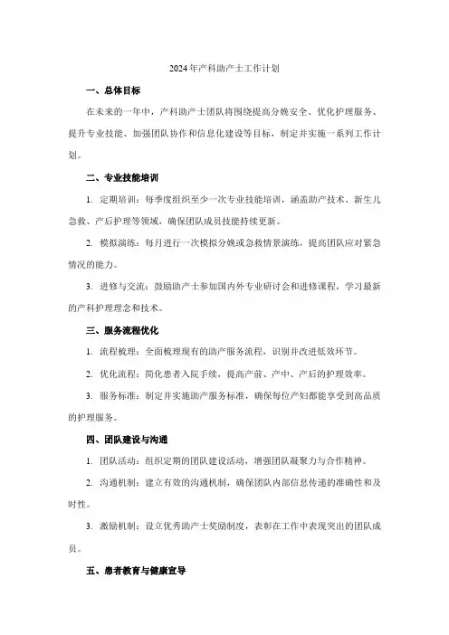 2024年产科助产士工作计划