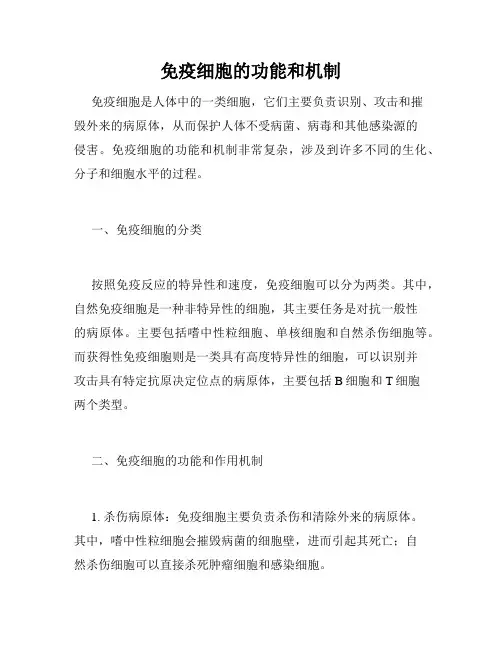 免疫细胞的功能和机制