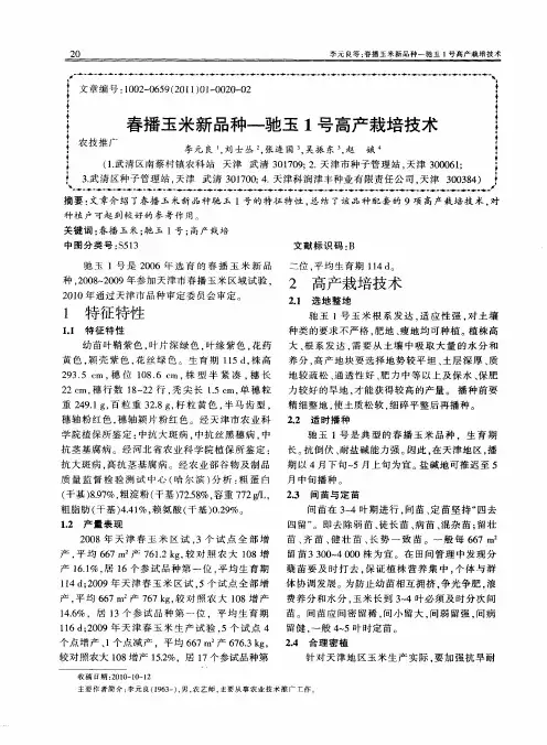 春播玉米新品种-驰玉1号高产栽培技术
