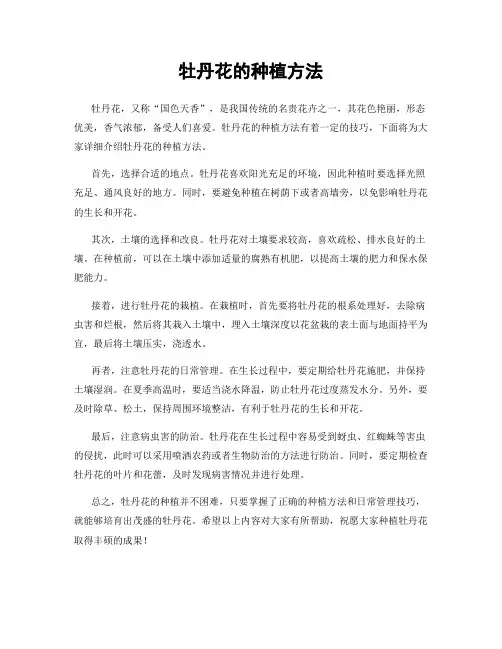 牡丹花的种植方法