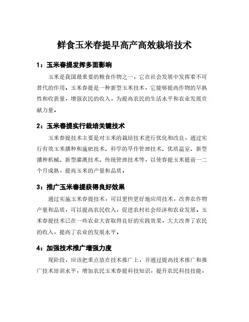 鲜食玉米春提早高产高效栽培技术