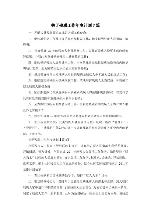 关于残联工作年度计划7篇