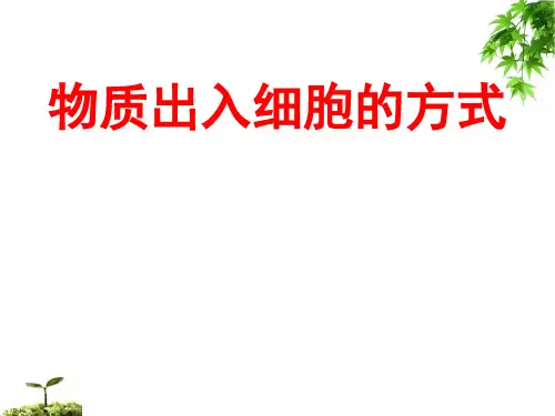 高一生物物质出入细胞的方式课件 (共14张PPT)