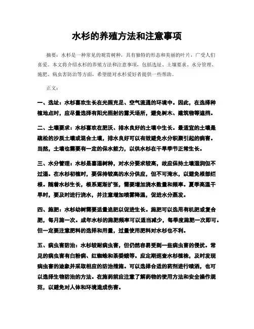 水杉的养殖方法和注意事项