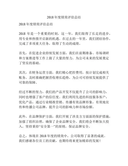 2018年度绩效评估总结