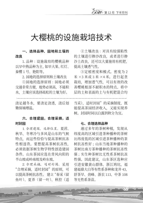 大樱桃的设施栽培技术