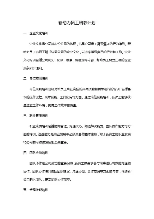 新动力员工培养计划