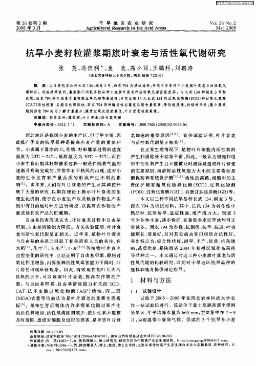 抗旱小麦籽粒灌浆期旗叶衰老与活性氧代谢研究