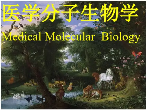 医学分子生物学(MedicalMolecularBiology)