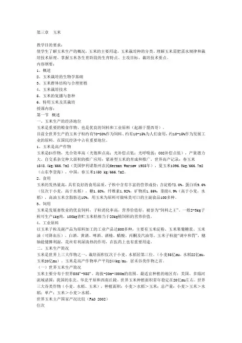 第三章   玉米