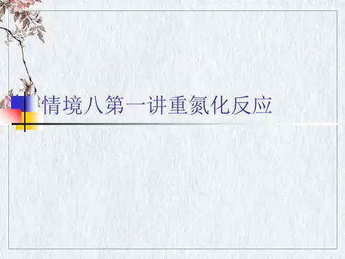 情境八第一讲重氮化反应PPT课件