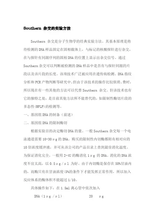 Southern blotting实验方法