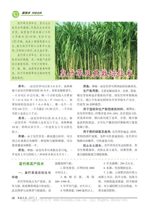 皇竹草及其栽培技术