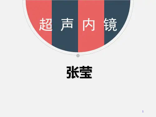 超声内镜PPT课件