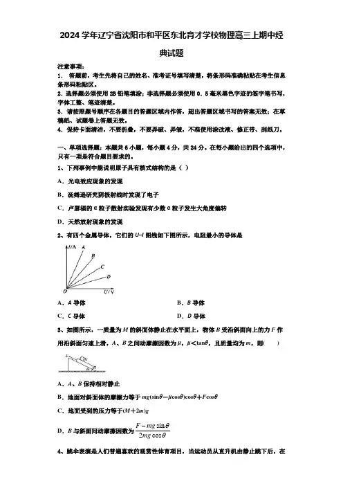 2024学年辽宁省沈阳市和平区东北育才学校物理高三上期中经典试题含解析