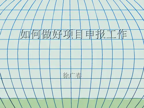 如何做好项目申报工作PPT(共31页)