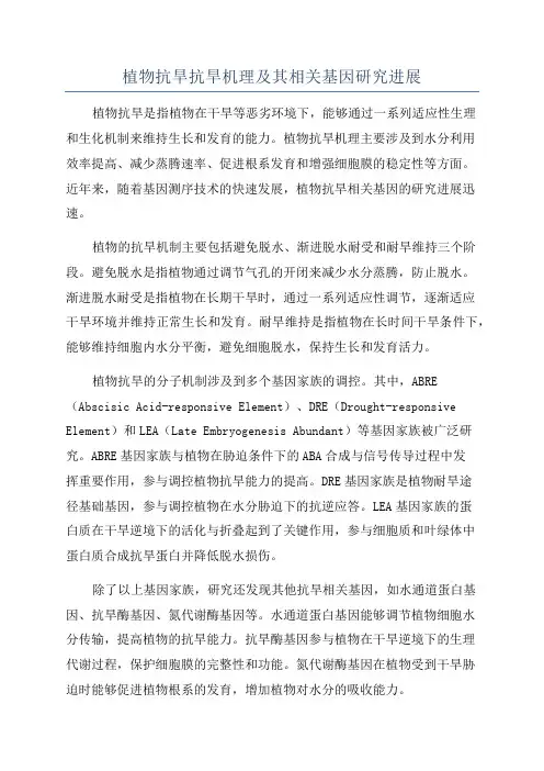 植物抗旱抗旱机理及其相关基因研究进展