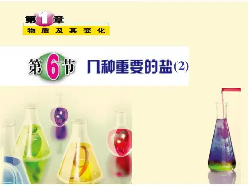 九年级上《几种重要的盐》PPT实用课件浙教版3