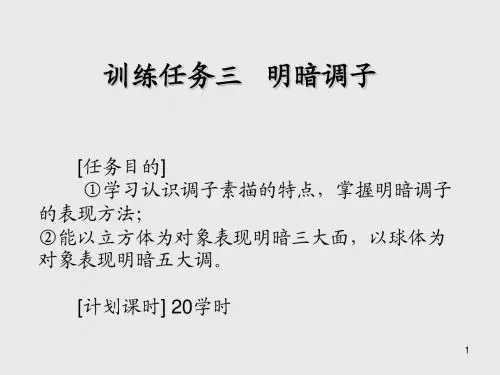 应用素描训练任务三  明暗调子 
