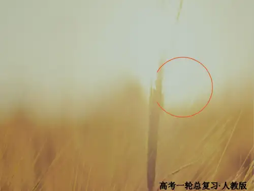 2018版高考一轮总复习英语课件：1-6-4a选修6Unit 4 Global warming 精品