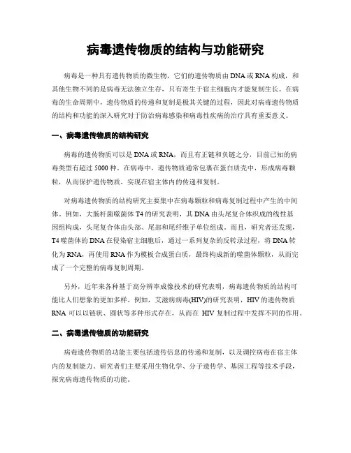 病毒遗传物质的结构与功能研究