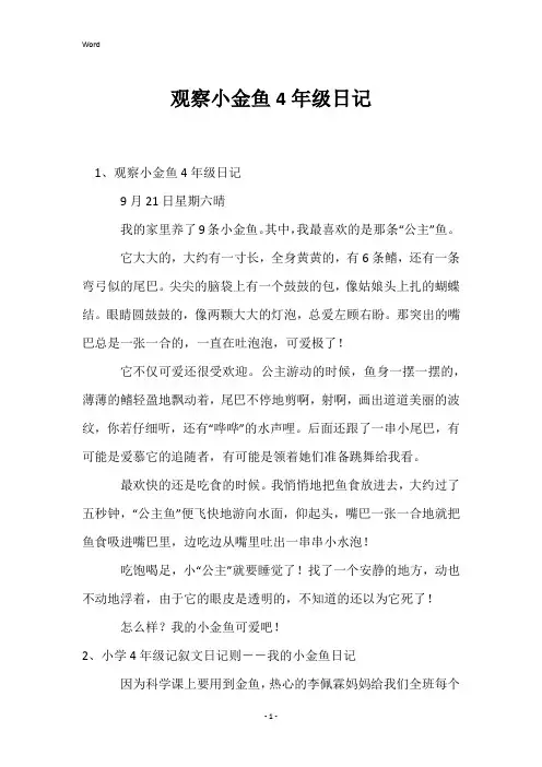 观察小金鱼4年级日记