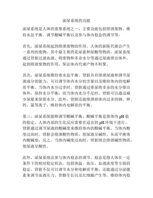泌尿系统的功能